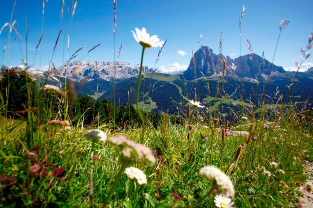 Garni Hotel Bel Vert Selva di Val Gardena Luaran gambar